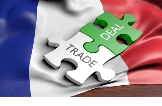 France's 2022 Trade Outlook: Challenges and Emerging Projections