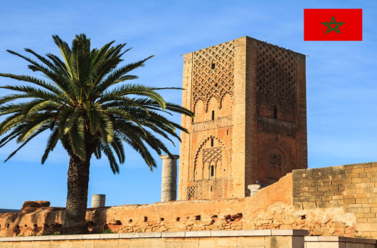 Morocco's Trade Dynamics in 2022: Export Surges, Import Upticks, and Economic Trends